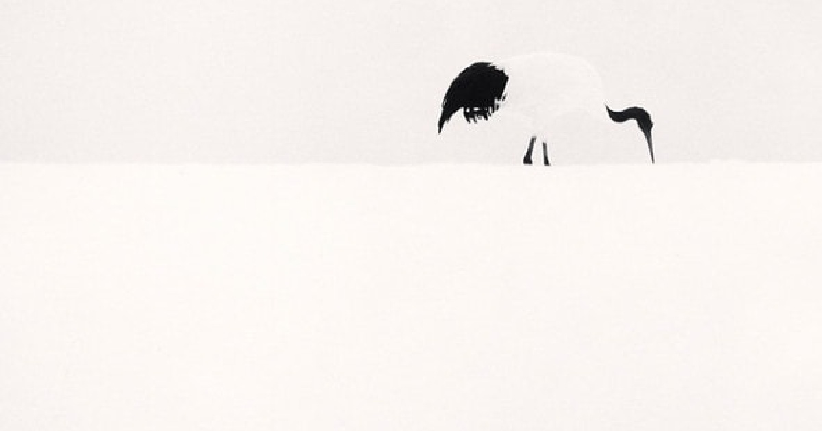 1263 - Michael Kenna | Peter Fetterman Gallery