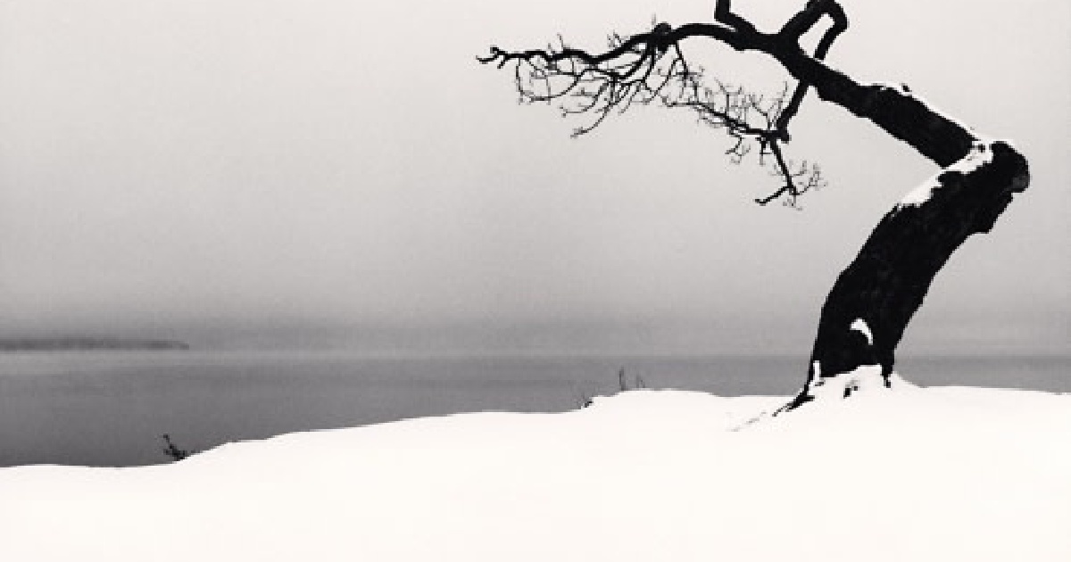 880 - Michael Kenna | Peter Fetterman Gallery