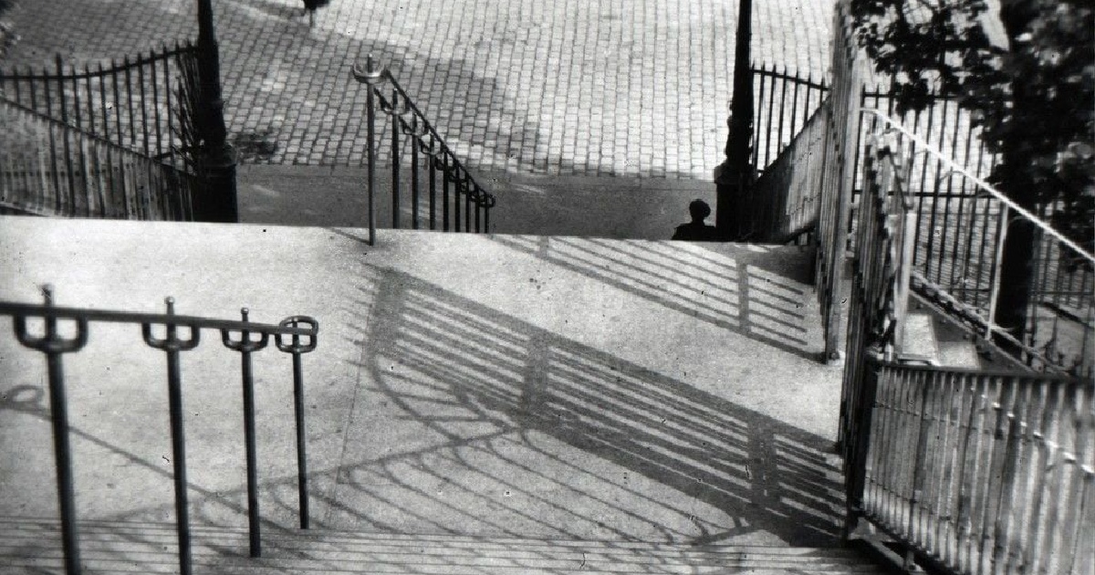 Kertész André Kertész 写真集 Amazon | Andre Kertesz: The Polaroids | Kertesz, Andre