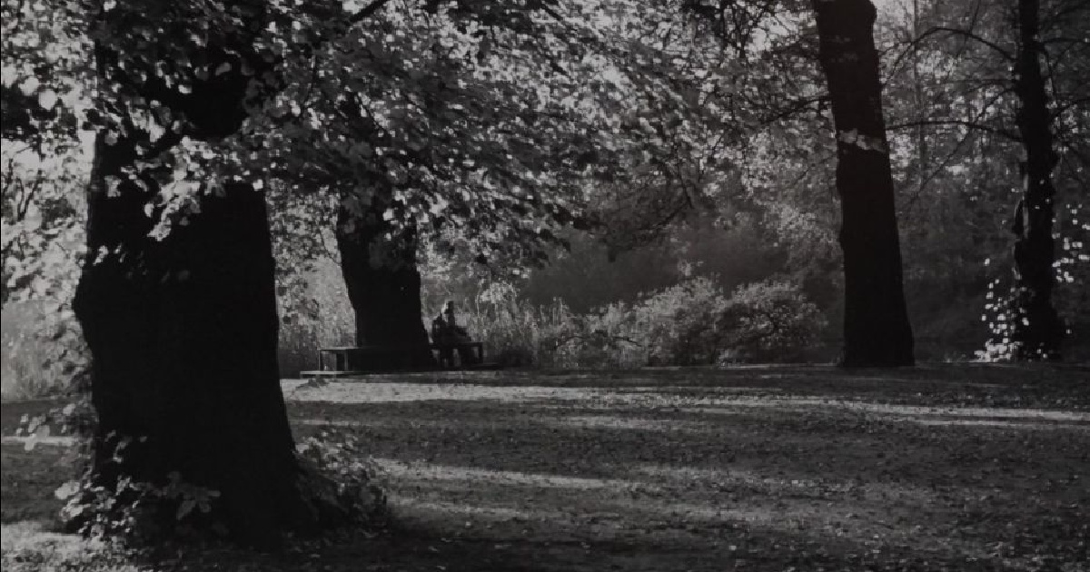833 - André Kertész | Peter Fetterman Gallery